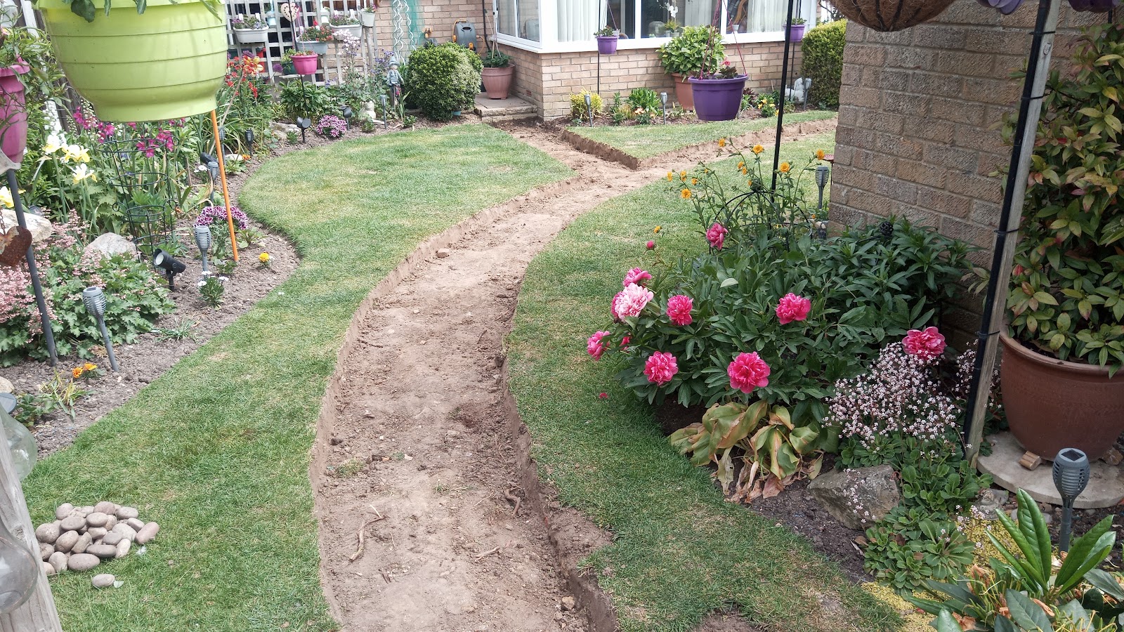 Curved path cut through a lawn beside flower beds